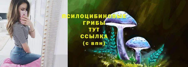 гашик Зерноград