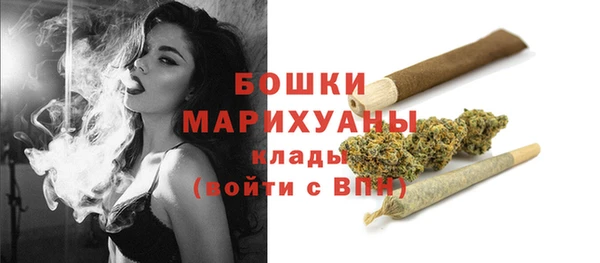 соль курить ск Каменка