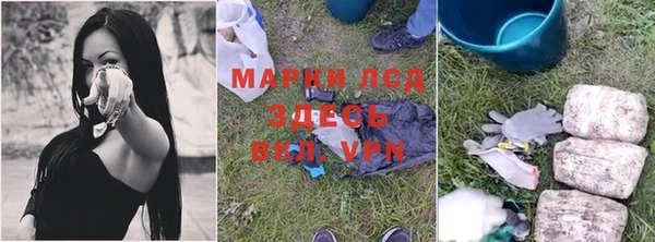 прущие грибы Зеленодольск