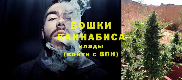 гашик Зерноград