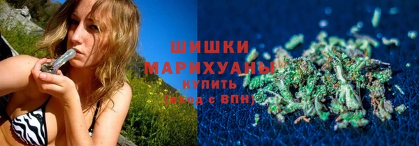 прущие грибы Зеленодольск