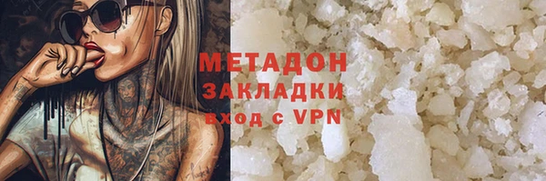 прущие грибы Зеленодольск