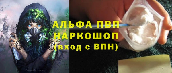 гашик Зерноград